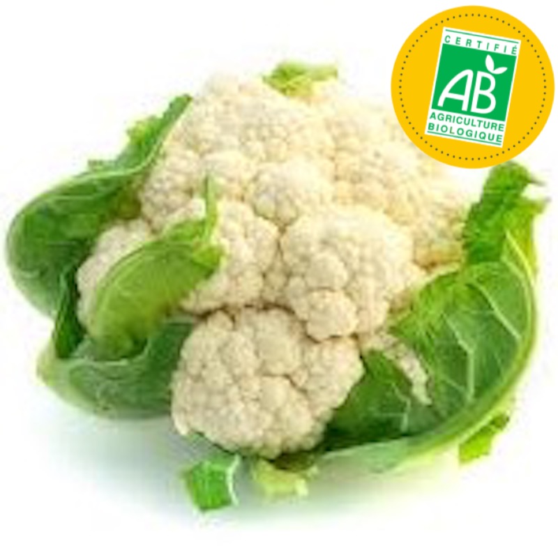 Chou fleur AB (piece)