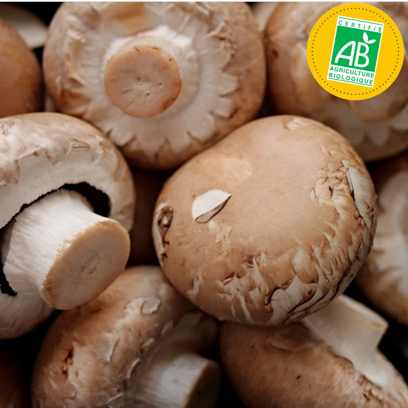 Champignons bruns AB (vrac, portion de 100g)